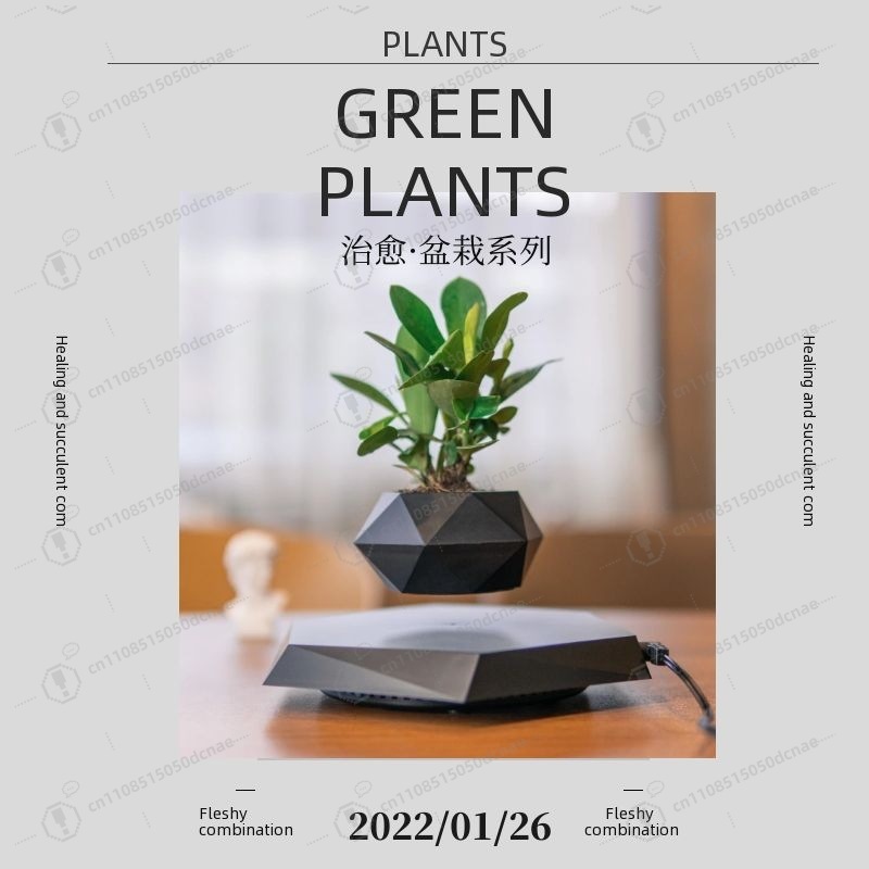 Magnetic Levitation Flower Pot - Bonsai.Tech Office recensie en prijs