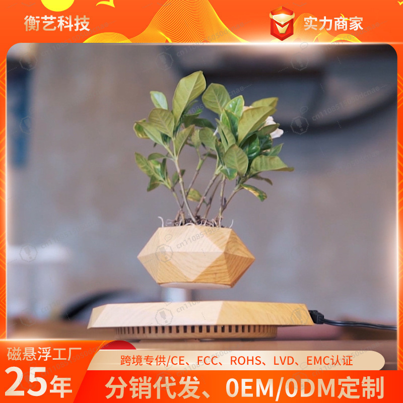 Magnetic Levitation Flower Pot - Bonsai.Tech Office recensie en prijs