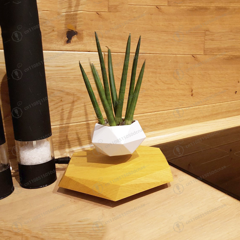 Magnetic Levitation Flower Pot - Bonsai.Tech Office recensie en prijs