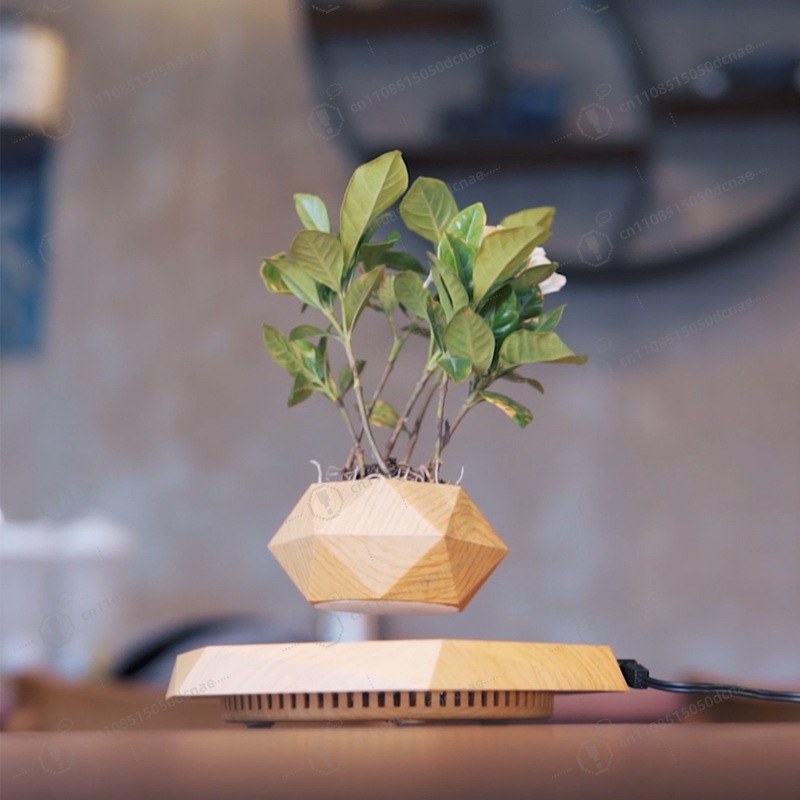 Magnetic Levitation Flower Pot - Bonsai.Tech Office recensie en prijs